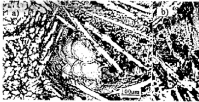 �w�������M������ĥ